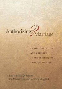 bokomslag Authorizing Marriage?