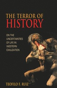 bokomslag The Terror of History