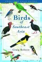 bokomslag Birds of Southeast Asia