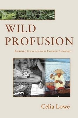 Celia Lowe - Wild Profusion, Häftad