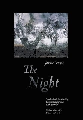 Jaime Saenz - Night, Inbunden