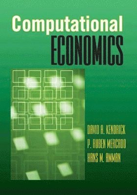 David A. Kendrick, P. Ruben Mercado, Hans M. Amman, David A Kendrick, P Ruben Mercado, Hans M Amman - Computational Economics, Inbunden