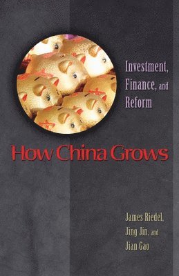 James Riedel, Jing Jin, Jian Gao - How China Grows, Inbunden