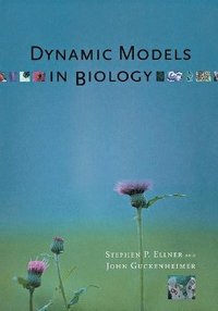 bokomslag Dynamic Models in Biology
