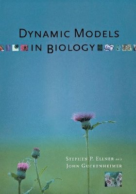 Dynamic Models in Biology 1