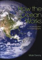 Mark Denny - How the Ocean Works, Häftad