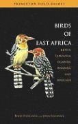 bokomslag Birds Of East Africa
