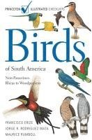 bokomslag Birds of South America