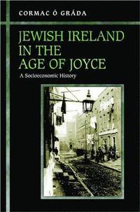 bokomslag Jewish Ireland in the Age of Joyce