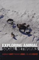 Darren P. Croft, Richard James, Jens Krause - Exploring Animal Social Networks, Häftad
