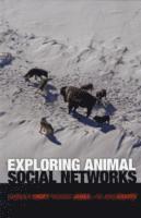 Exploring Animal Social Networks 1