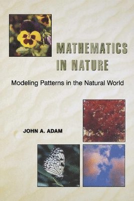 John A. Adam - Mathematics in Nature, Häftad