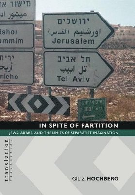 Gil Z. Hochberg - In Spite of Partition, Inbunden