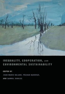 Inequality, Cooperation, and Environmental Sustainability 1