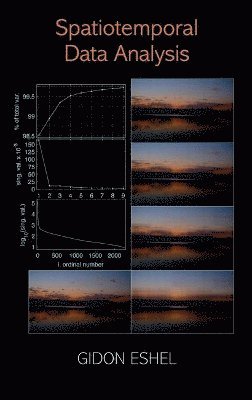 bokomslag Spatiotemporal Data Analysis