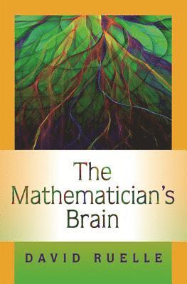 David Ruelle - Mathematician's Brain, Inbunden