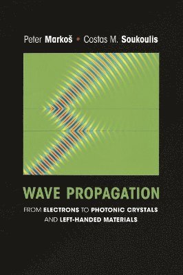 bokomslag Wave Propagation