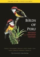 Thomas S. Schulenberg, Douglas F. Stotz - Birds of Peru, Häftad