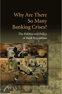 bokomslag Why Are There So Many Banking Crises?