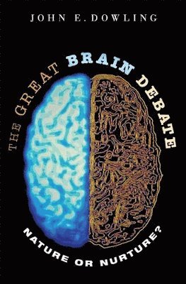 bokomslag The Great Brain Debate