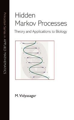 Hidden Markov Processes