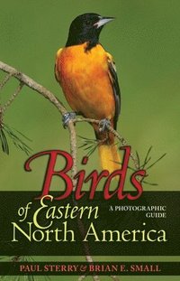 bokomslag Birds of Eastern North America