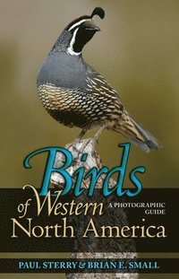 bokomslag Birds of Western North America
