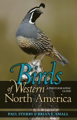 Birds of Western North America 1
