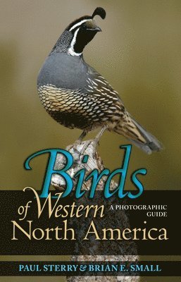 Paul Sterry, Brian E. Small, Brian E Small - Birds of Western North America, Häftad