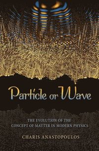 bokomslag Particle or Wave