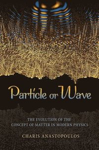bokomslag Particle or Wave
