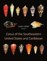 bokomslag Conus of the Southeastern United States and Caribbean