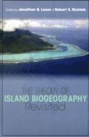 Theory of Island Biogeography Revisited