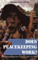 bokomslag Does Peacekeeping Work?
