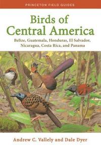 bokomslag Birds of Central America