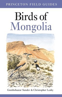 bokomslag Birds of Mongolia