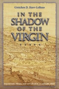 bokomslag In the Shadow of the Virgin
