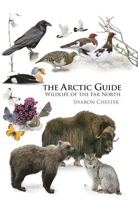 bokomslag The Arctic Guide