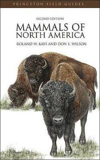 bokomslag Mammals of North America