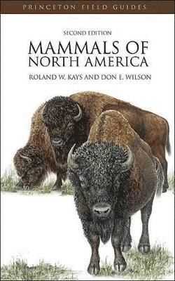 Mammals of North America 1