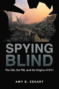 bokomslag Spying Blind