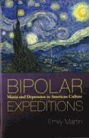 bokomslag Bipolar Expeditions: Mania and Depression in American Culture