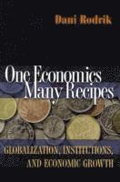 Dani Rodrik - One Economics, Many Recipes, Häftad