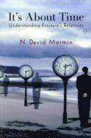 N. David Mermin - It's About Time, Häftad