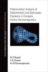 bokomslag Mathematical Analysis of Deterministic and Stochastic Problems in Complex Media Electromagnetics