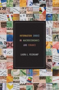 bokomslag Information Choice in Macroeconomics and Finance