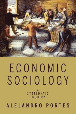 bokomslag Economic Sociology