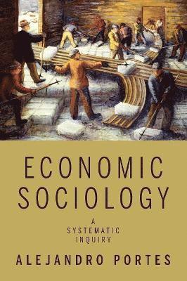 Alejandro Portes - Economic Sociology, Häftad