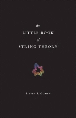 Steven S. Gubser - Little Book of String Theory, Inbunden