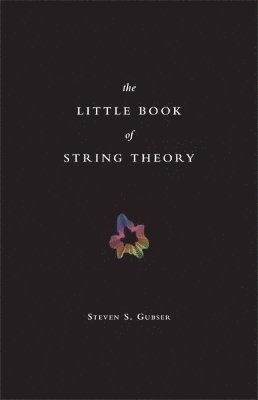 bokomslag The Little Book of String Theory
